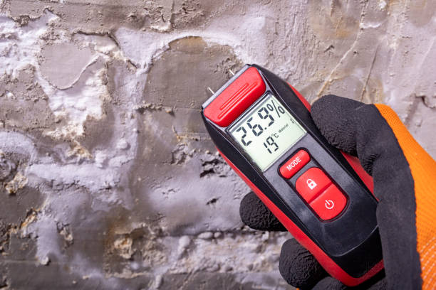 Best Mold Remediation Services  in Martinsville, VA