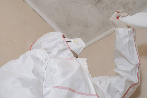 Best Water Damage Restoration  in Martinsville, VA