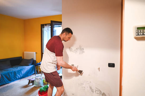 Best Affordable Mold Removal  in Martinsville, VA
