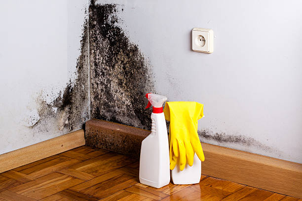 Best Mold Testing  in Martinsville, VA