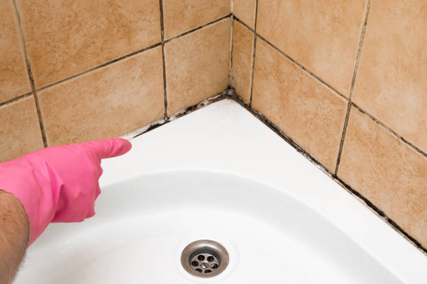 Best Residential Mold Removal  in Martinsville, VA